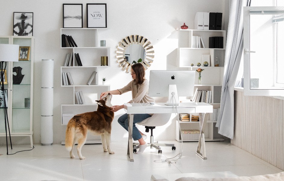 Woman In Home Office With Dog